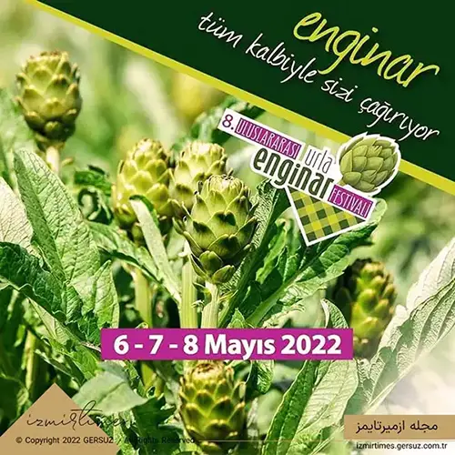 فستیوال انگینار ازمیر